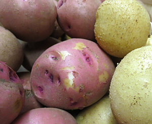 red-white-homegrown-potatoes-by-goodmans-farm-market